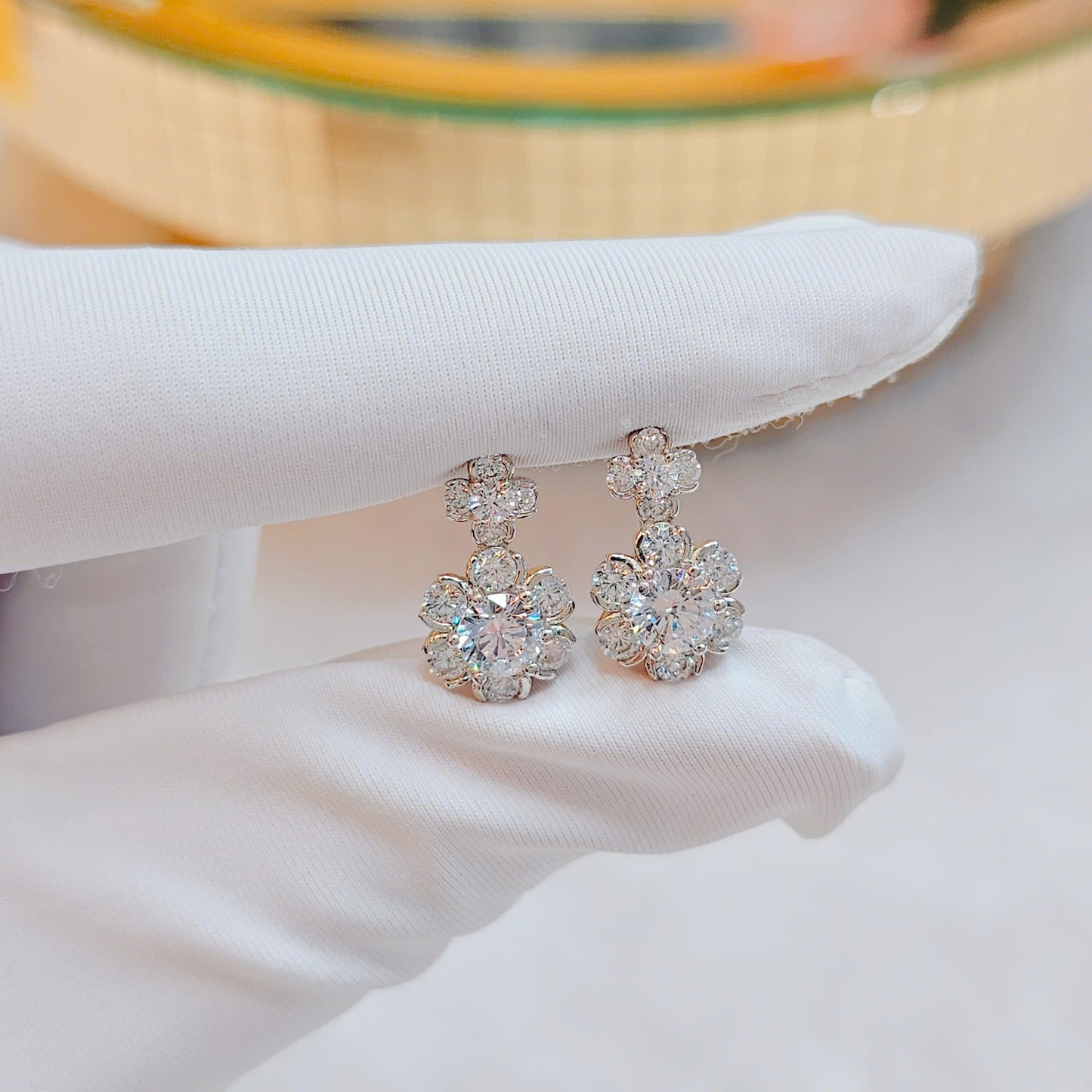 Elegant S925 Sterling Silver Women's Earrings